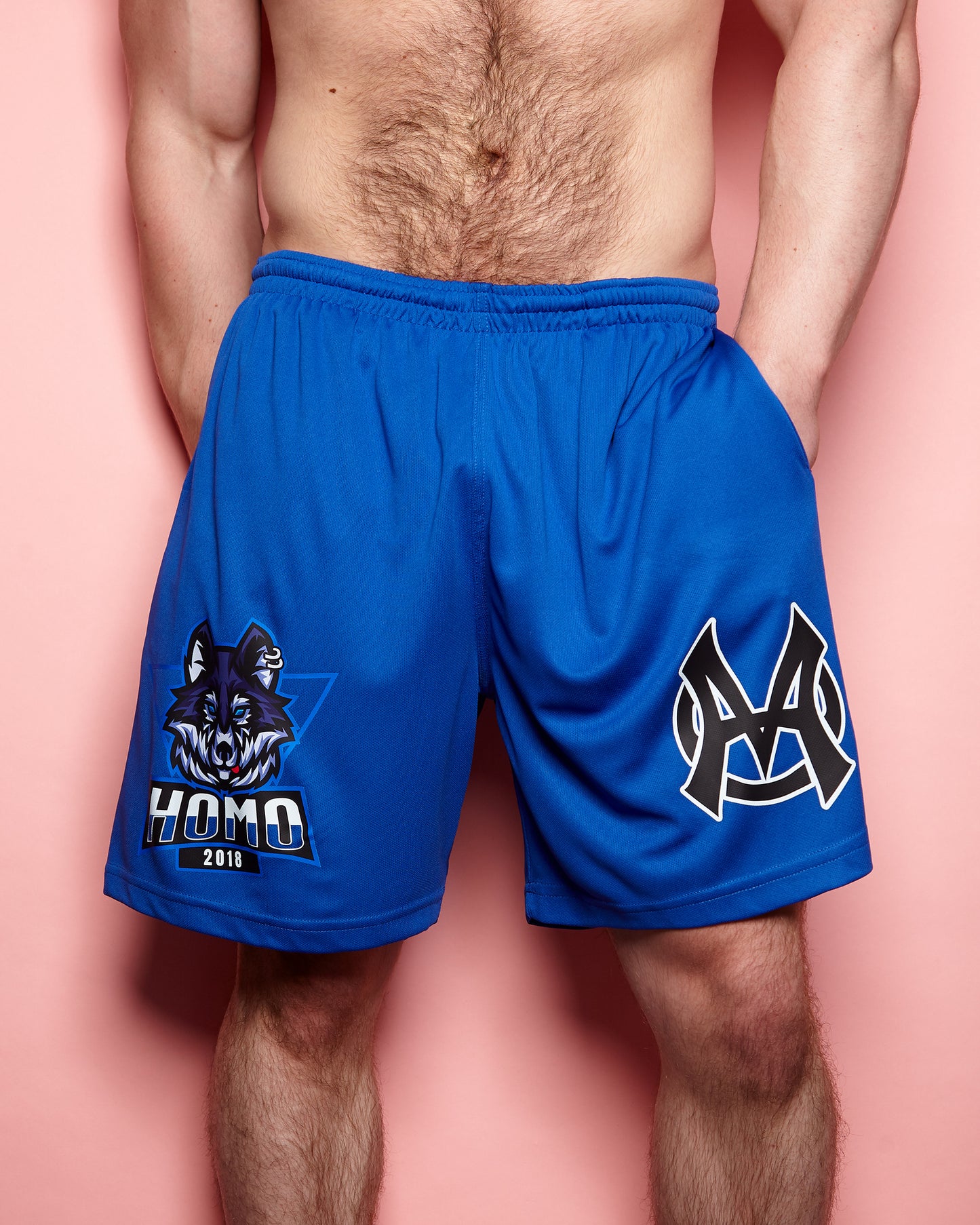 LARGE - Sporty wolf, blue - basket ball shorts