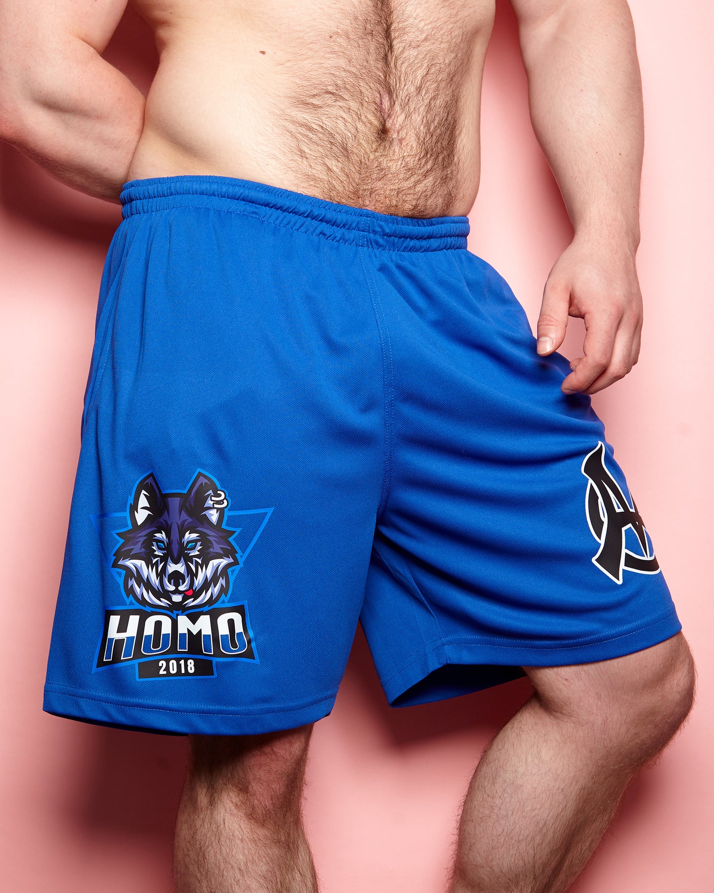 LARGE - Sporty wolf, blue - basket ball shorts