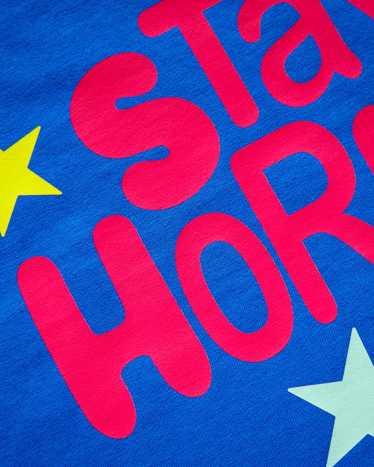 Stay horn/y - blue crop top