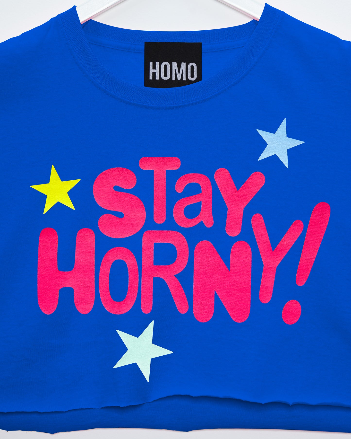 Stay horn/y - blue crop top